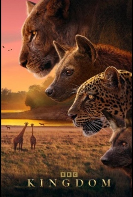 Царство животных