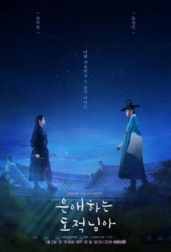 Моя любимая воровка